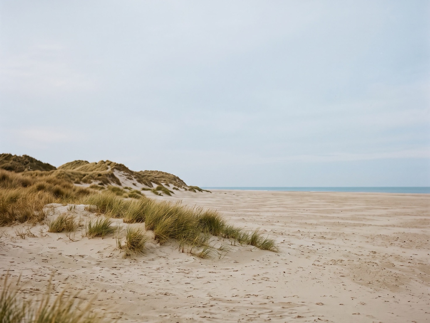 Duinen met helmgras naast een breed, leeg strand, met in de verte een smalle strook zee onder een bleke, grijsblauwe lucht