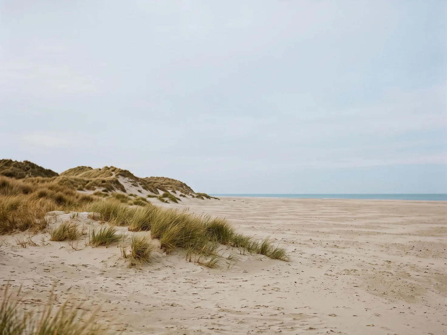 Duinen met helmgras naast een breed, leeg strand, met in de verte een smalle strook zee onder een bleke, grijsblauwe lucht