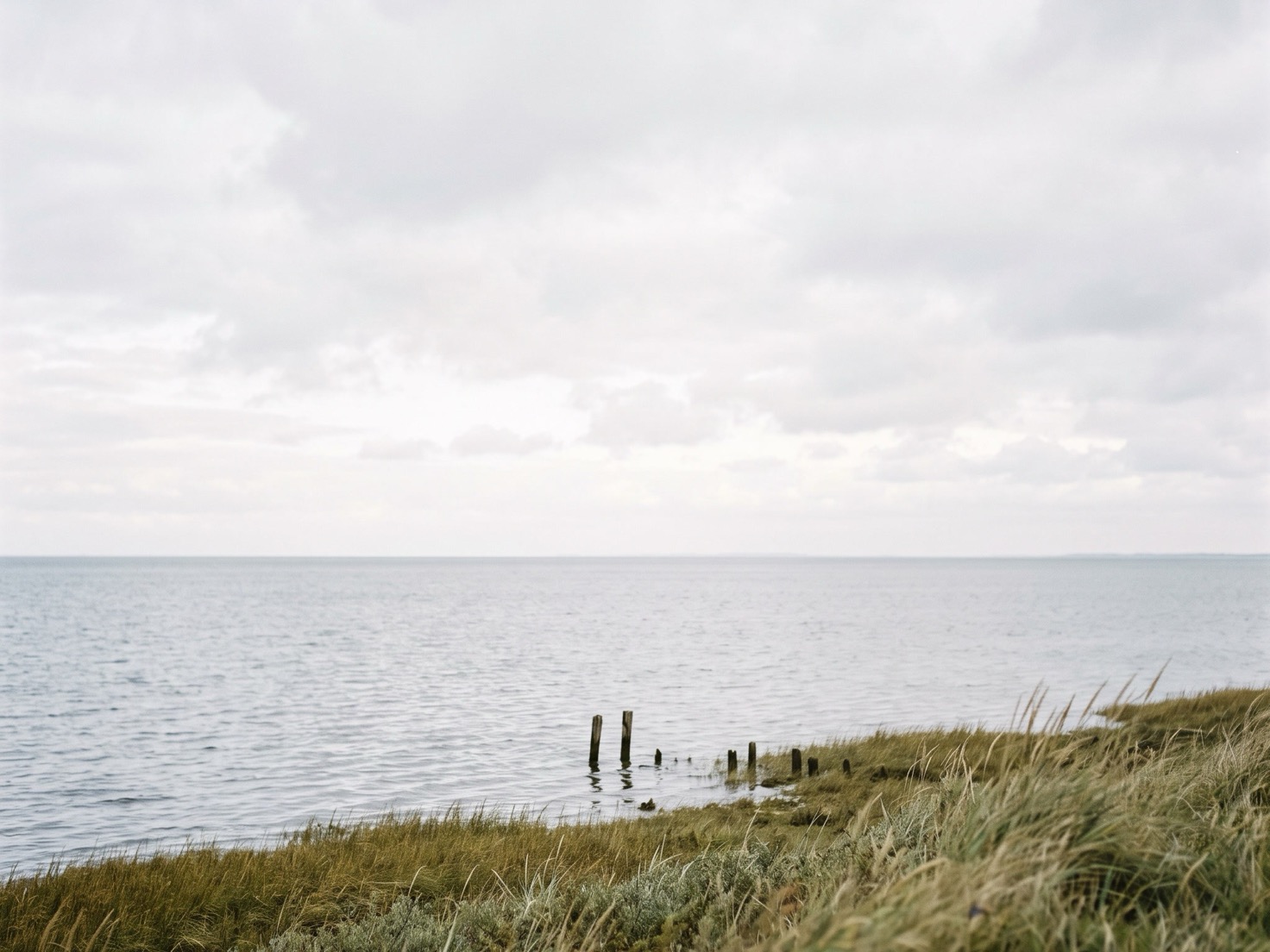 Kalm grijs water onder een bewolkte lucht, gezien vanaf een glooiende oever met wuivend gras, met een rij oude houten paaltjes in het water.