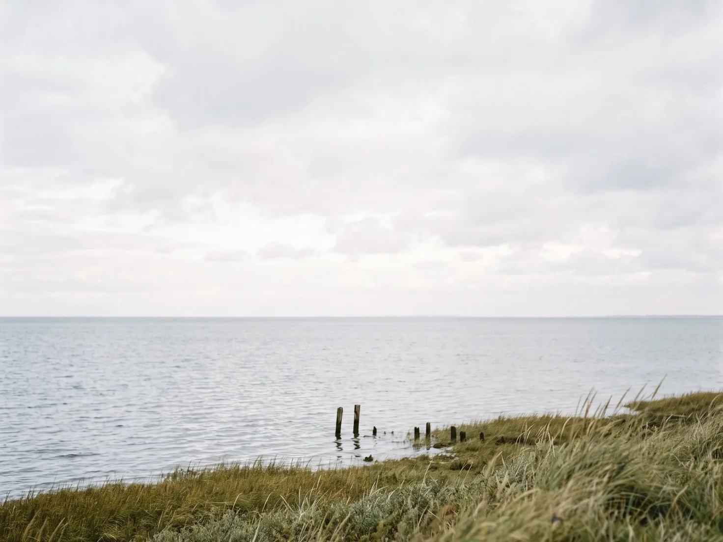 Kalm grijs water onder een bewolkte lucht, gezien vanaf een glooiende oever met wuivend gras, met een rij oude houten paaltjes in het water.