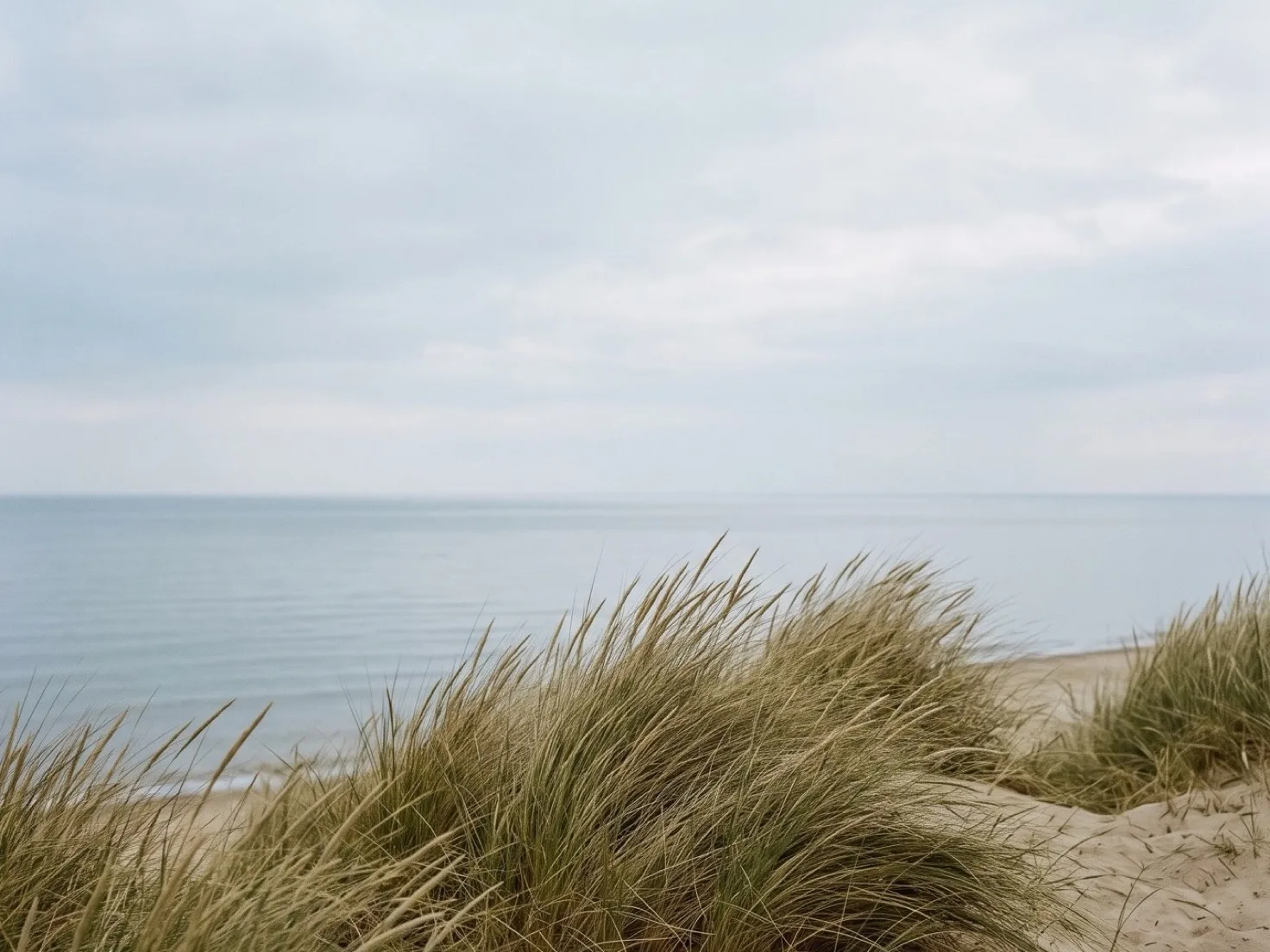 Helmgras op een lage duin met zand, daarachter een kalme zee en een smalle strook strand, onder een wijde grijsblauwe bewolkte lucht