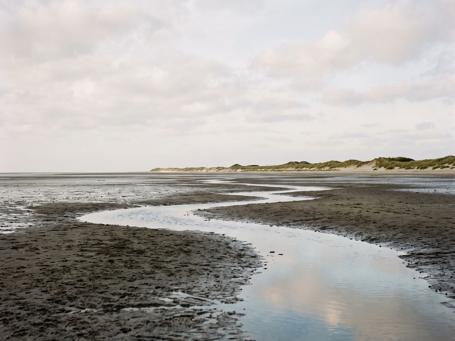Nat wad bij laagwater met ondiepe geulen die een bleke lucht weerspiegelen, met ver weg een lage lijn van duinen