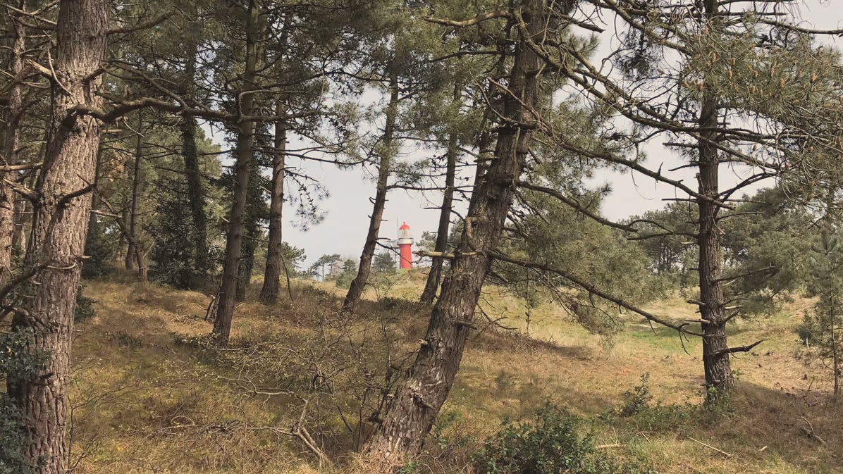 De vuurtoren van Vlieland